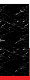 Nero Marquina hidden door